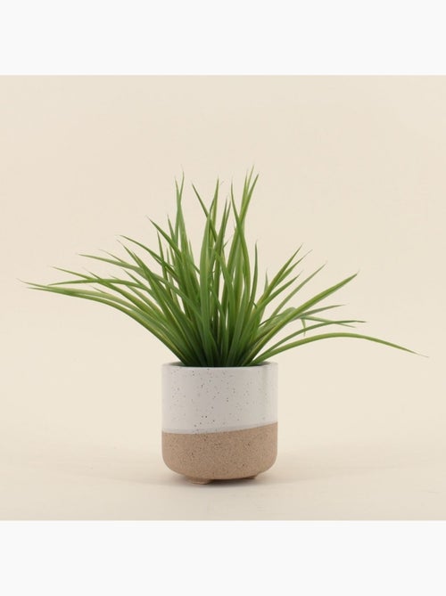 Plante artificielle pot céramique bicolore 26cm - Kiabi Plante artificielle pot céramique bicolore 26cm - Kiabi