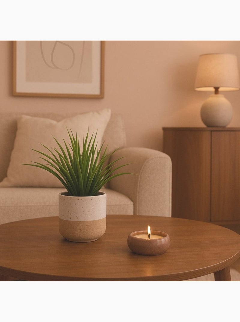 Plante artificielle pot céramique bicolore 26cm Beige - Kiabi