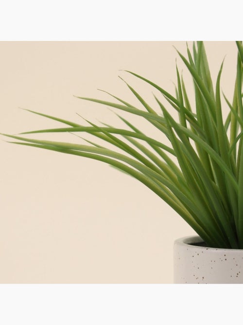 Plante artificielle pot céramique bicolore 26cm - Kiabi Plante artificielle pot céramique bicolore 26cm - Kiabi