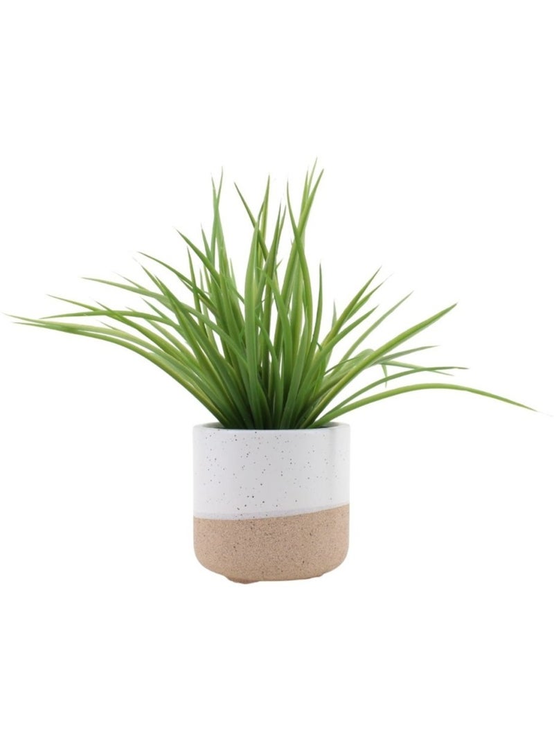 Plante artificielle pot céramique bicolore 26cm Beige - Kiabi