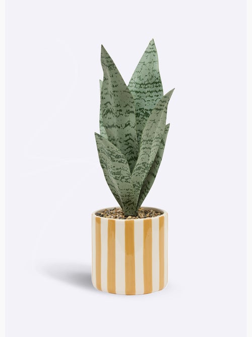 Plante artificielle, pot céramique rayée - Atmosphera - Kiabi Plante artificielle, pot céramique rayée - Atmosphera - Kiabi
