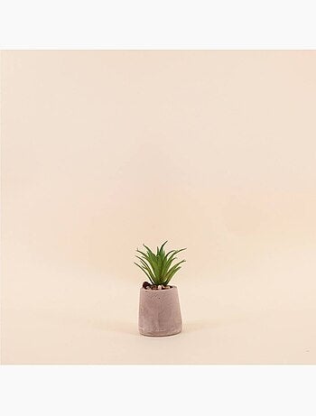 Plante artificielle pot ciment 11cm