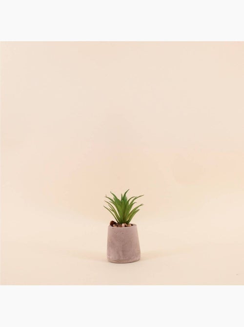 Plante artificielle pot ciment 11cm - Kiabi