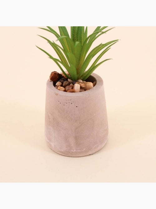 Plante artificielle pot ciment 11cm - Kiabi