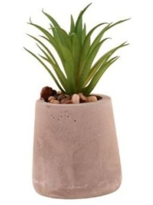 Plante artificielle pot ciment 11cm - Kiabi