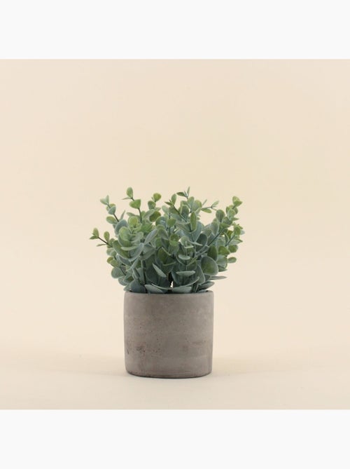 Plante artificielle pot ciment 19cm - Kiabi Plante artificielle pot ciment 19cm - Kiabi