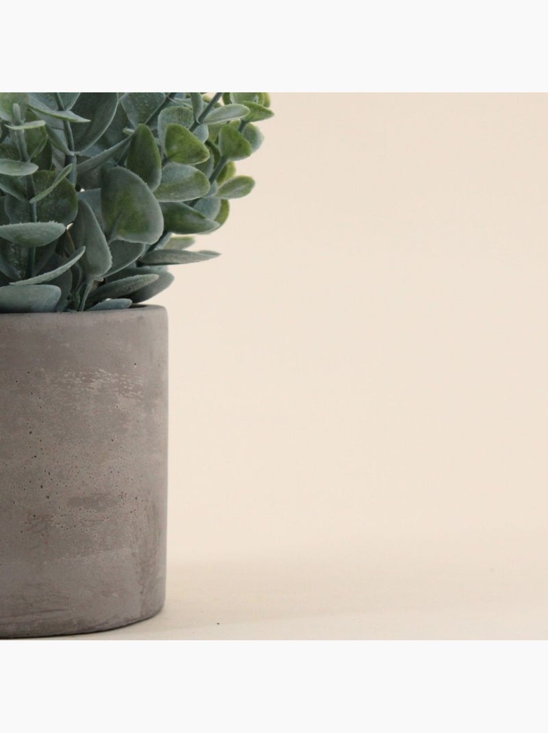 Plante artificielle pot ciment 19cm Gris - Kiabi