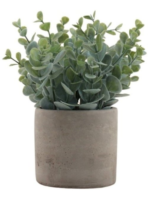 Plante artificielle pot ciment 19cm - Kiabi Plante artificielle pot ciment 19cm - Kiabi