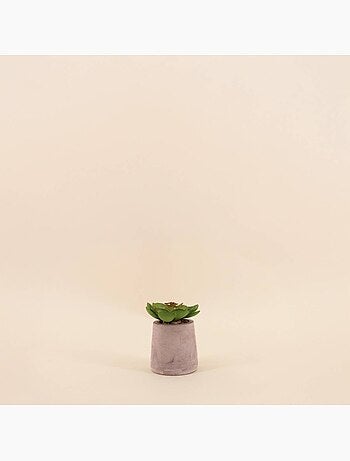Plante artificielle pot ciment 8cm