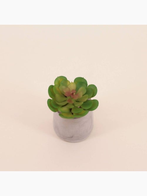 Plante artificielle pot ciment 8cm - Kiabi