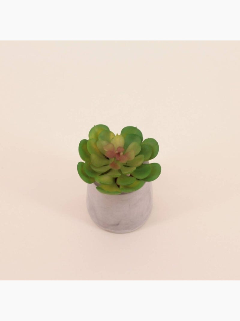 Plante artificielle pot ciment 8cm Gris - Kiabi
