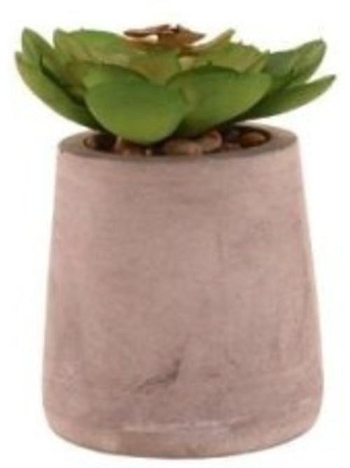 Plante artificielle pot ciment 8cm - Kiabi