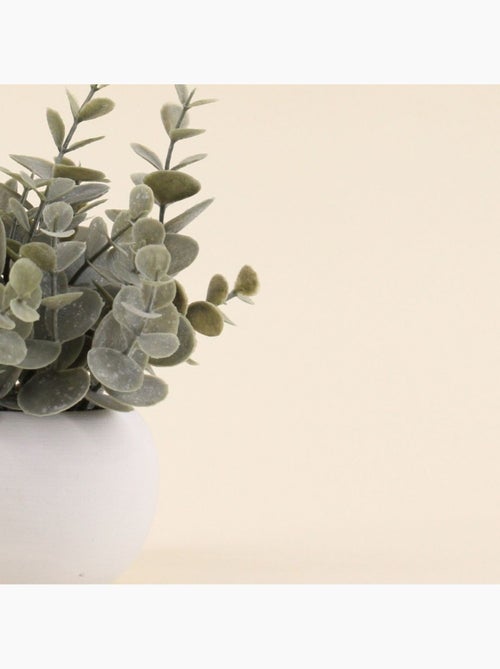 Plante artificielle pot ciment blanc 18cm - Kiabi