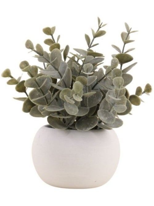 Plante artificielle pot ciment blanc 18cm - Kiabi