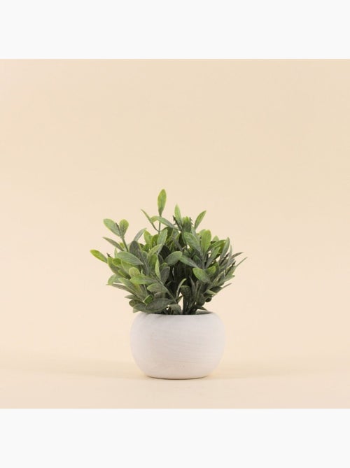 Plante artificielle pot ciment blanc 18cm - Kiabi