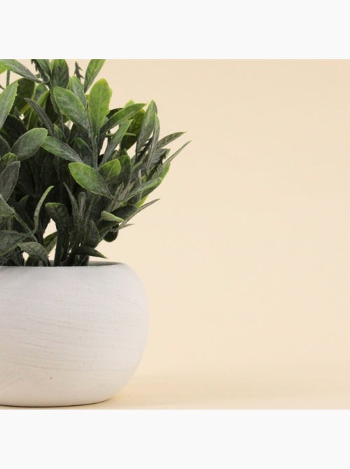 Plante artificielle pot ciment blanc 18cm - Kiabi