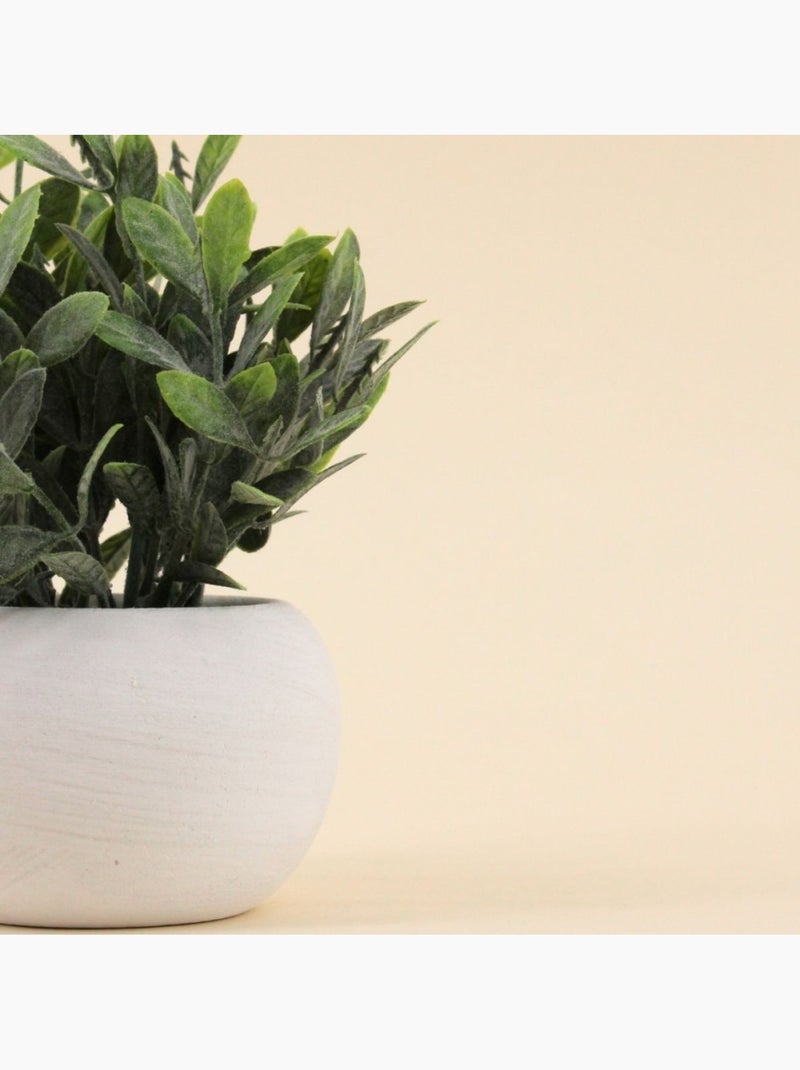 Plante artificielle pot ciment blanc 18cm Blanc - Kiabi