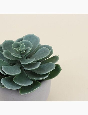Plante artificielle pot en ciment 12cm