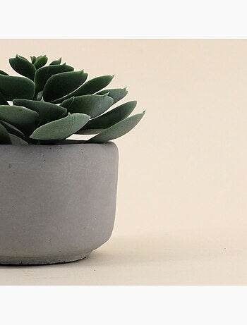 Plante artificielle pot en ciment 12cm