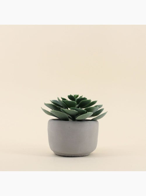 Plante artificielle pot en ciment 12cm - Kiabi Plante artificielle pot en ciment 12cm - Kiabi