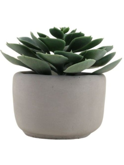 Plante artificielle pot en ciment 12cm - Kiabi Plante artificielle pot en ciment 12cm - Kiabi
