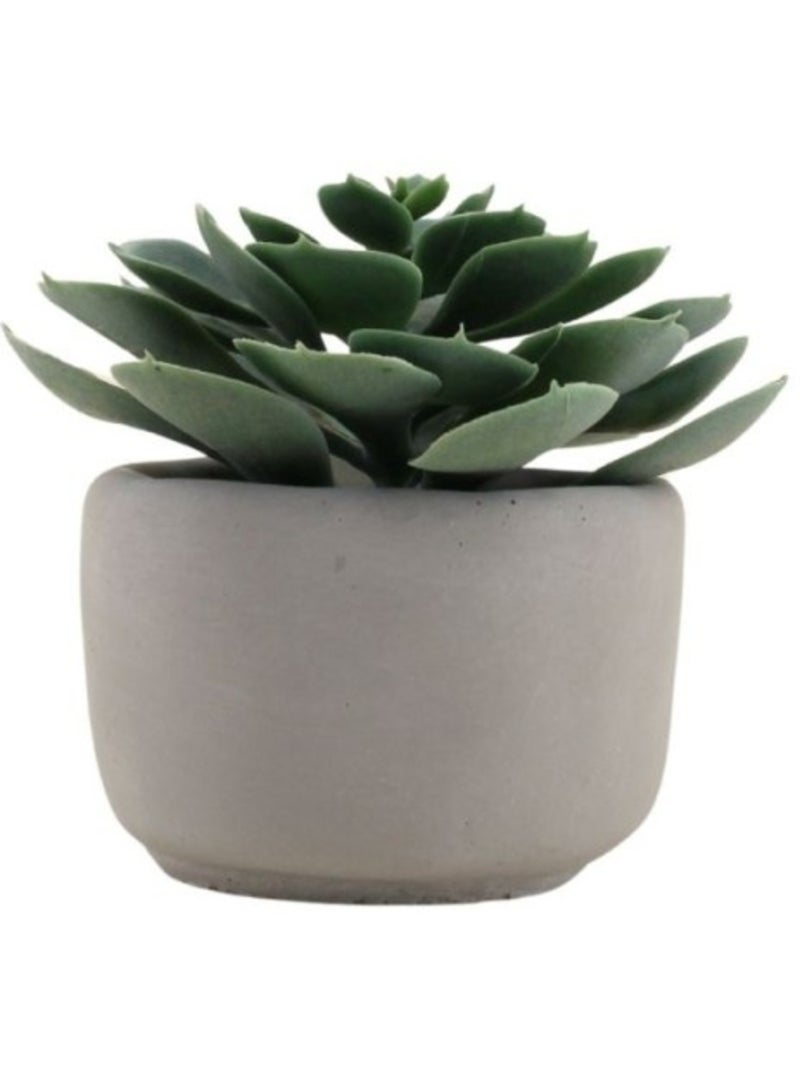 Plante artificielle pot en ciment 12cm Blanc - Kiabi