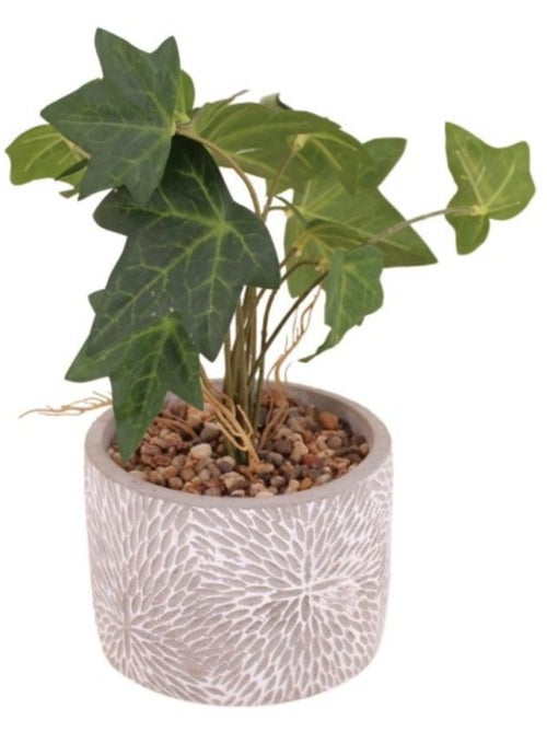 Plante artificielle pot en ciment 28x14cm - Kiabi Plante artificielle pot en ciment 28x14cm - Kiabi