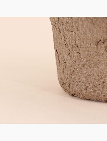 Plante artificielle pot papier maché