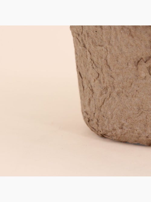 Plante artificielle pot papier maché - Kiabi