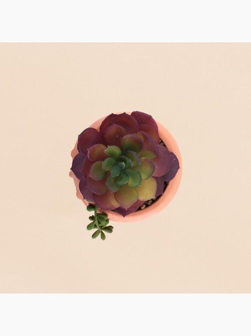 Plante artificielle pot rond terracotta 11x16cm - Kiabi