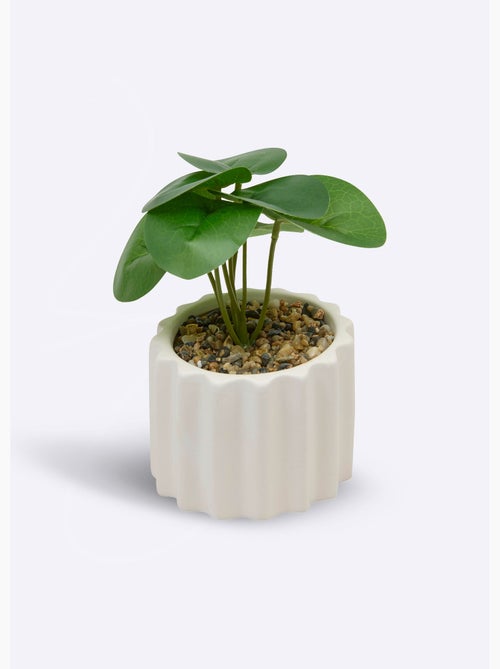Plante artificielle, pot strié céramique - Atmosphera - Kiabi