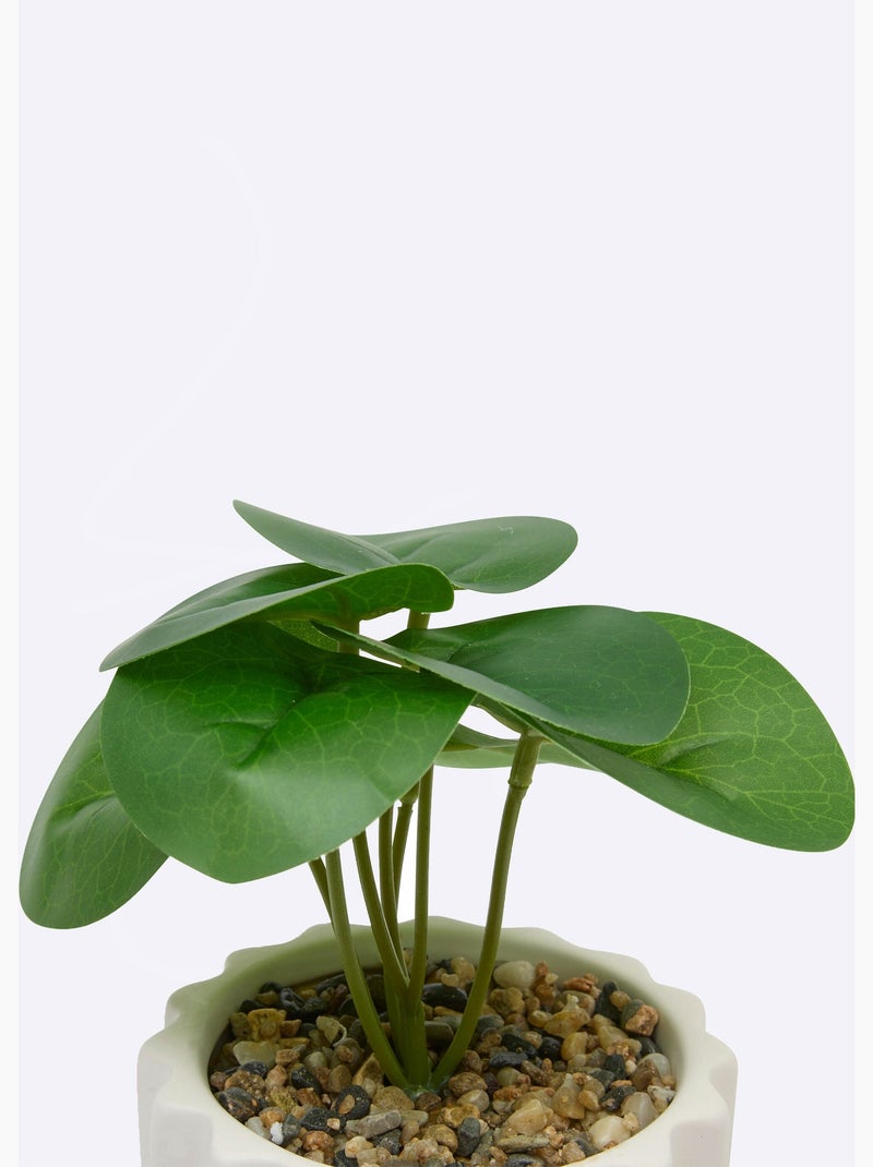 Plante artificielle, pot strié céramique - Atmosphera Blanc - Kiabi