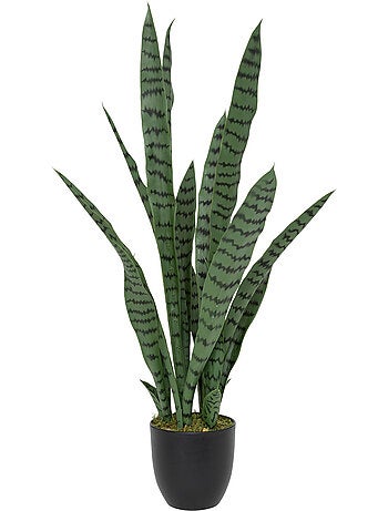 Plante artificielle sansevieria toby