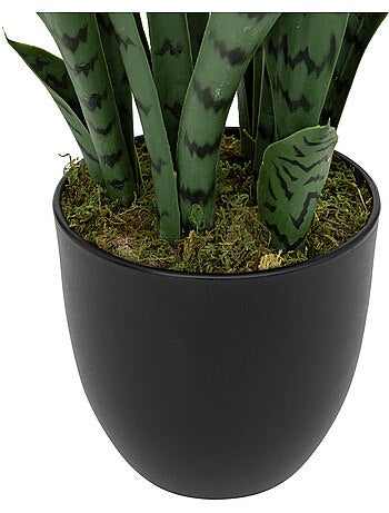 Plante artificielle sansevieria toby