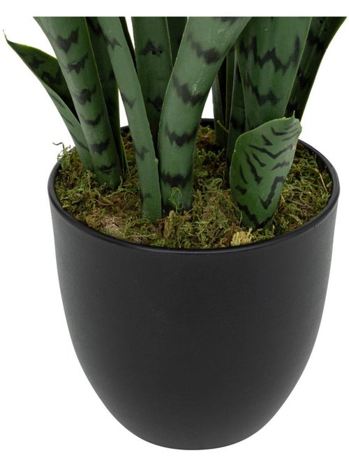 Plante artificielle sansevieria TOBY - Kiabi