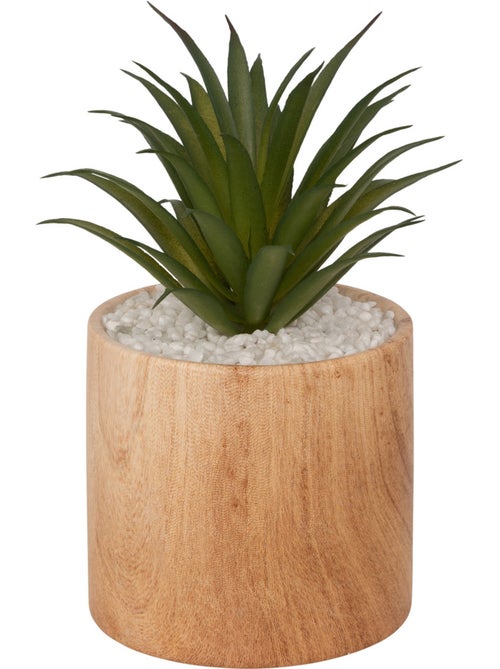 Plante artificielle SAO - Kiabi