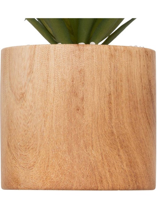 Plante artificielle SAO - Kiabi