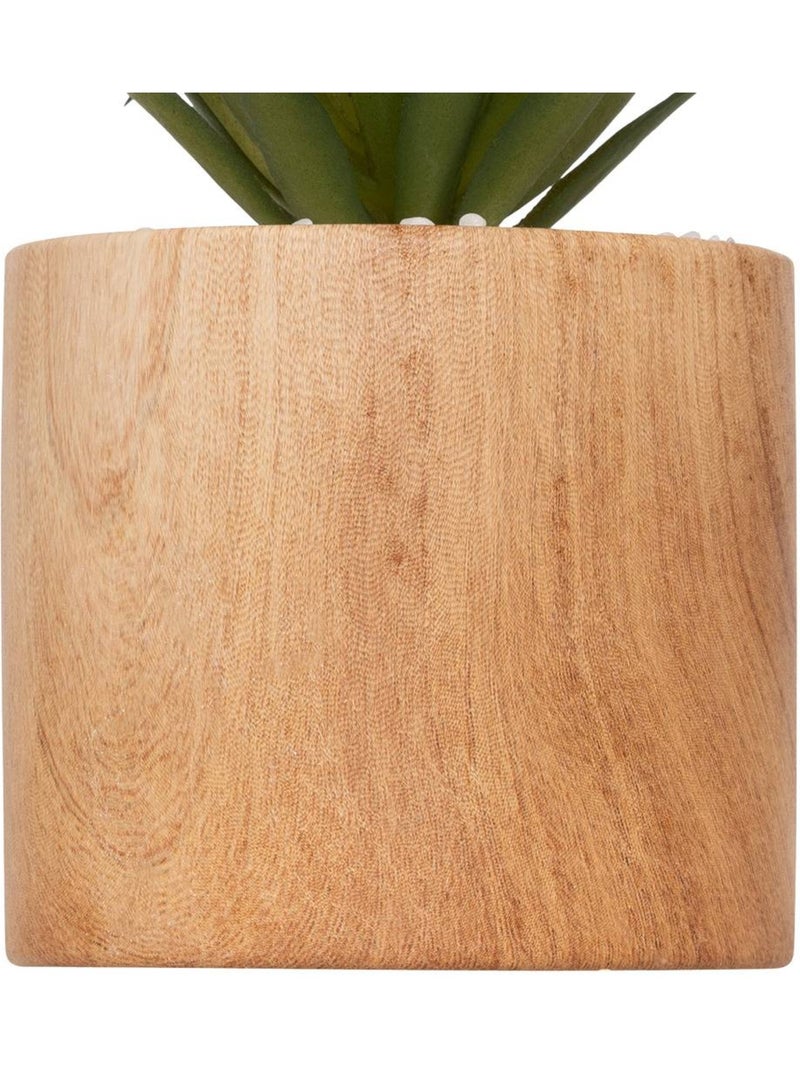 Plante artificielle SAO Marron - Kiabi
