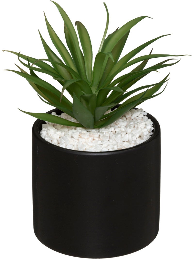 Plante artificielle SAO Multicolore - Kiabi