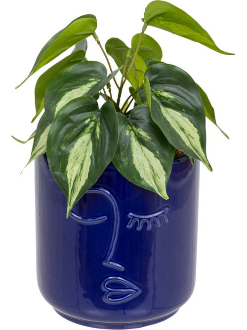 Plante artificielle SOLEYA - Kiabi Plante artificielle SOLEYA - Kiabi