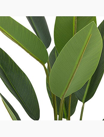 Plante artificielle strelitzia AMYN