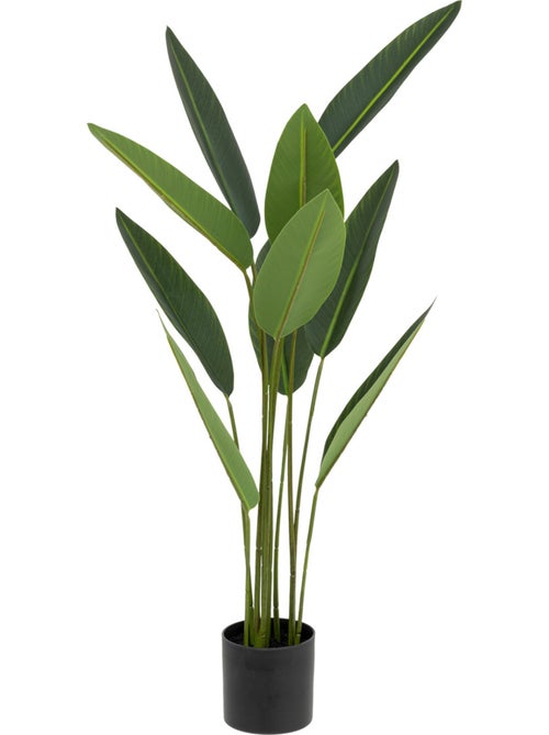 Plante artificielle strelitzia AMYN - Kiabi