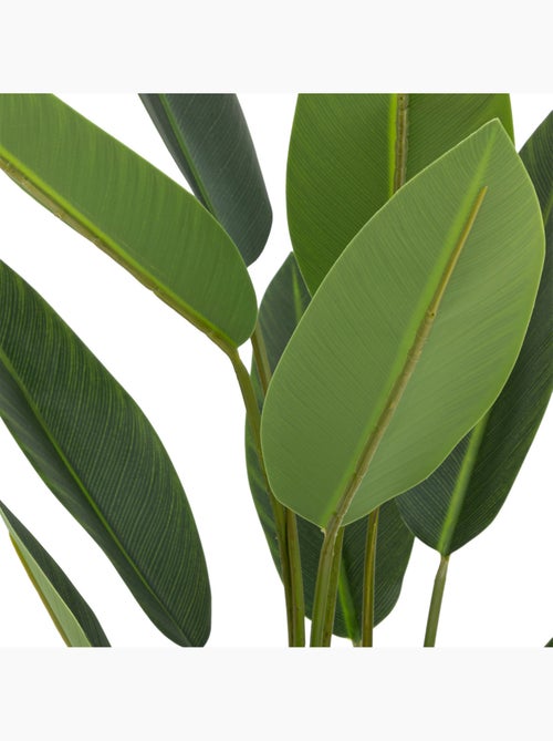 Plante artificielle strelitzia AMYN - Kiabi
