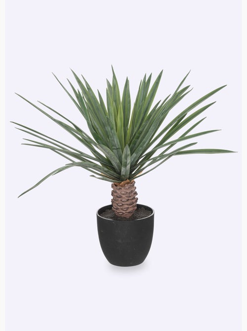Plante artificielle style palmier + pot - Atmosphera - Kiabi Plante artificielle style palmier + pot - Atmosphera - Kiabi