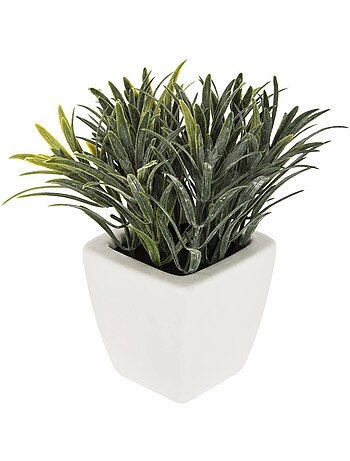 Plante artificielle succulente en pot de céramique