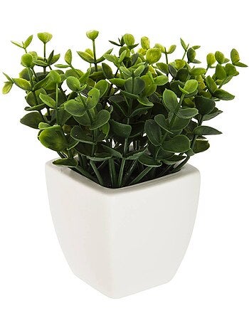 Plante artificielle succulente en pot de céramique