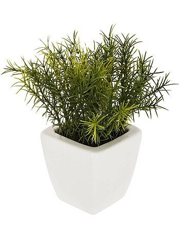 Plante artificielle succulente en pot de céramique