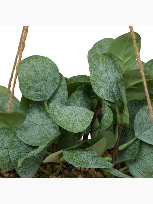 Plante artificielle suspendue à cintre en chanvre - Kiabi