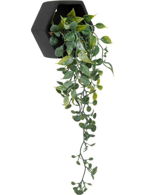 Plante artificielle suspendue AYAME - Kiabi
