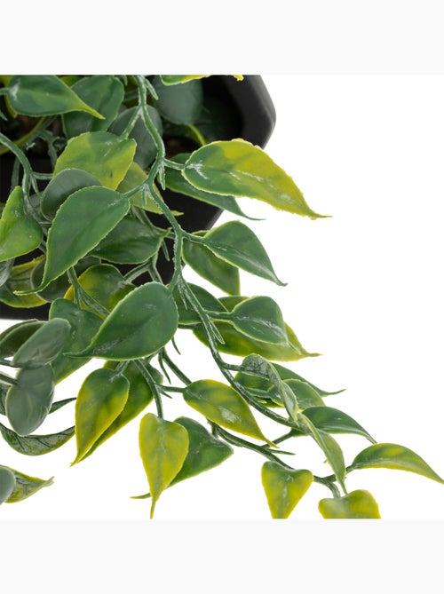 Plante artificielle suspendue AYAME - Kiabi